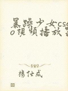 暴躁少女csgo视频播放器推荐