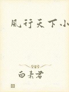 风行天下小说