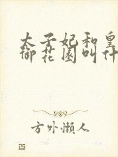 太子妃和皇帝在御花园叫什么小说