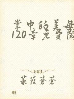 掌中的美母版主120章免费阅读