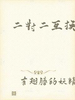 二对二互换共享