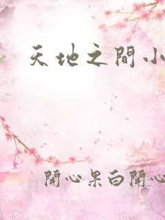 天地之间小说
