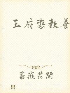 王府惩教养日常