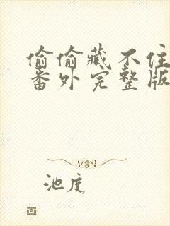 偷偷藏不住新婚番外完整版