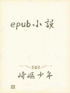 epub小说