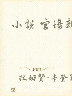 小说 官场新贵