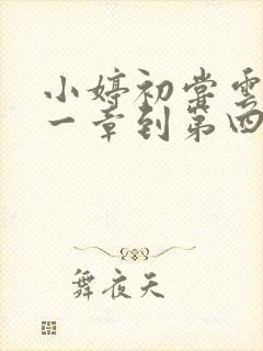 小婷初尝云雨第一章到第四章