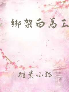 绑架白马王子