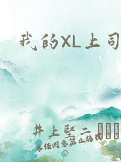 我的XL上司