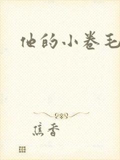 他的小卷毛