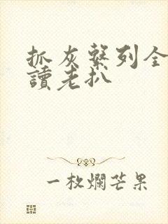 抓灰系列全文阅读老扒