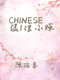 CHINESE猛1浪小辉