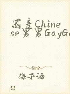 国产Chinese男男GayGayAPP