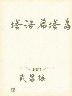 塔洛希塔岛小说