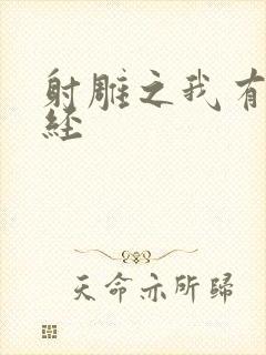 射雕之我有太玄经