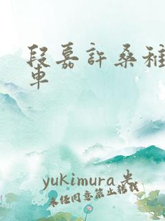 段嘉许桑稚浴室车