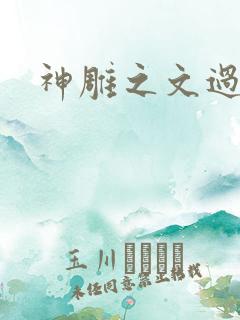 神雕之文过饰非