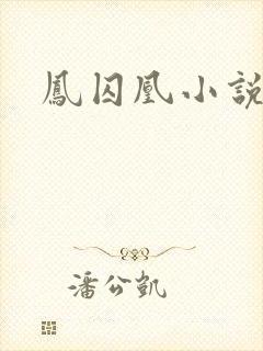 凤囚凰小说