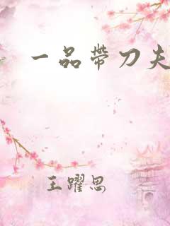 一品带刀夫人