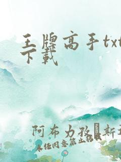 王牌高手txt下载