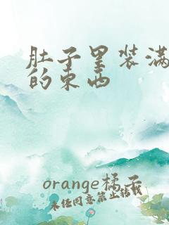 肚子里装满了他的东西