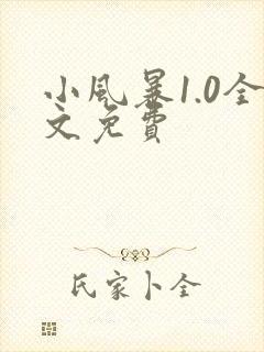 小风暴1.0全文免费