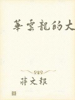 华云龙的大宝贝