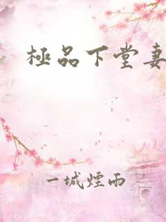 极品下堂妻