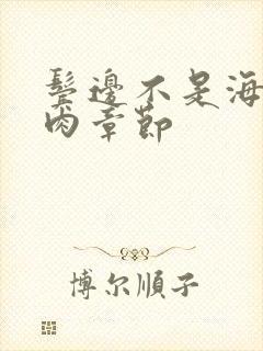 鬓边不是海棠红肉章节