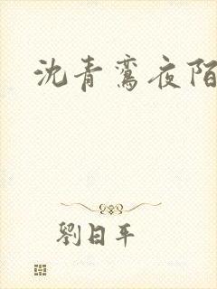 沈青鸾夜陌凌