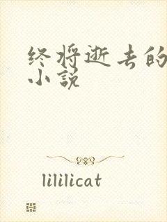 终将逝去的青春小说