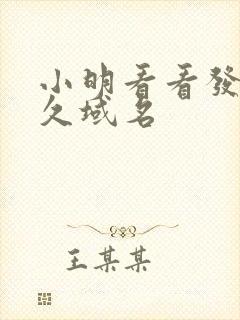 小明看看发布永久域名