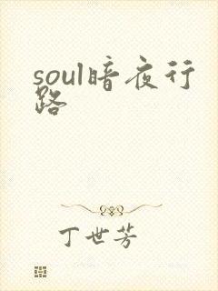 soul暗夜行路