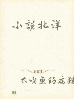 小说北洋
