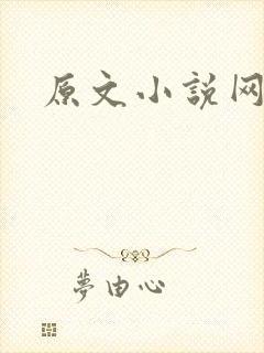 原文小说网