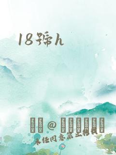 18号h