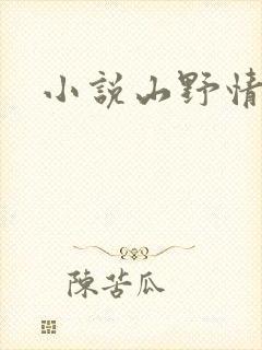 小说山野情债