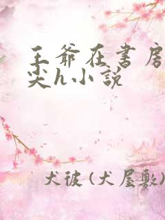 王爷在书房含乳尖h小说