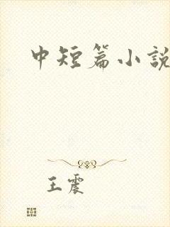 中短篇小说集