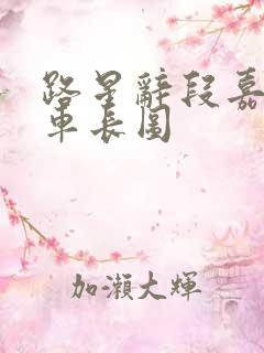 路星辞段嘉衍肉车长图