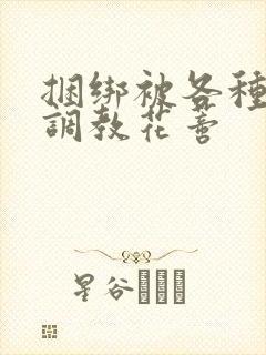 捆绑被各种工具调教花蒂