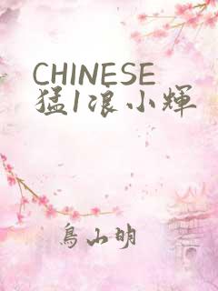 CHINESE猛1浪小辉
