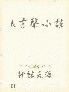 h有声小说