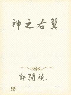 神之右翼