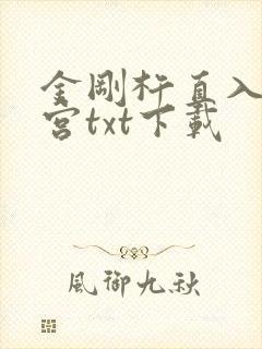 金刚杵直入莲花宫txt下载