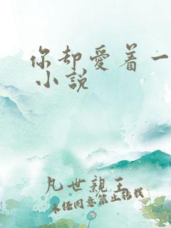 你却爱着一个他 小说