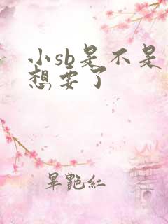 小sb是不是又想要了