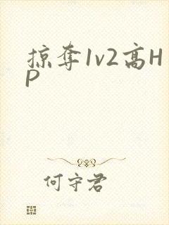 掠夺1v2高HP
