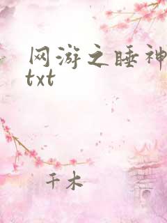 网游之睡神传说txt