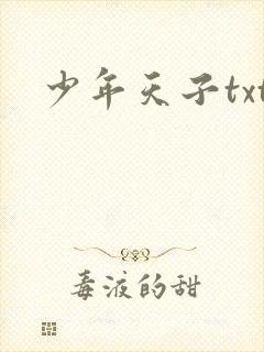 少年天子txt